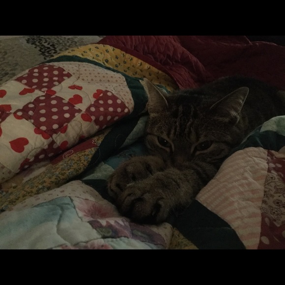 Meet your Posher, Irene - Picture 1 of 1